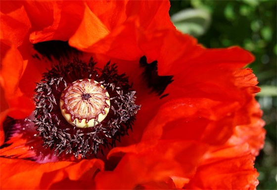 结婚应该说什么祝福语 结婚应该说什么祝福语