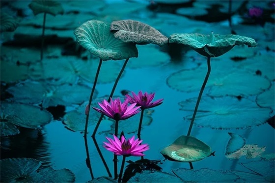 创意满满的朋友生日祝福语