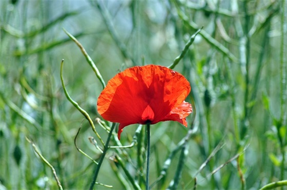 最新的闺蜜结婚搞笑祝福语大全(闺蜜搬家祝福语大全)