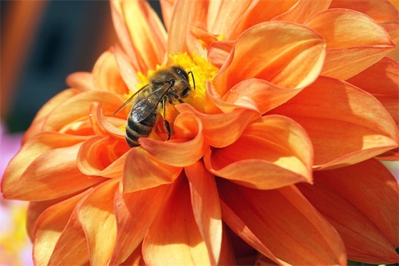统一回复生日祝福语 朋友圈统一回复生日祝福 统一回复生日祝福语 朋友圈统一回复生日祝福