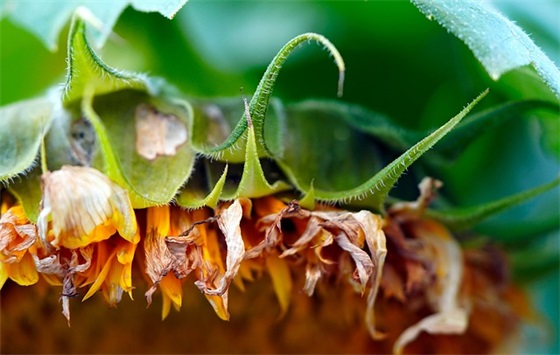 小孩上小学祝福语 小孩上小学的祝福语寄语