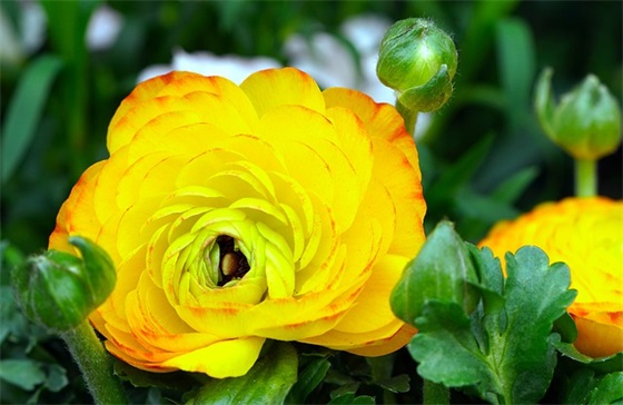 关于迎接十月的暖心祝福语