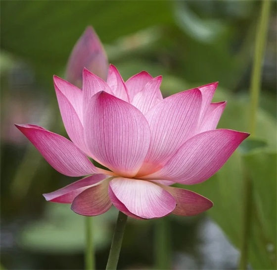 简短中考正能量励志祝福语