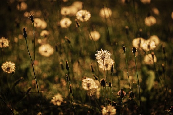 公司开业庆典祝福语 开业庆典祝福语