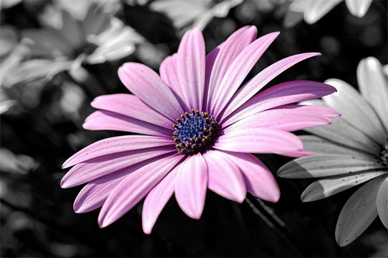 新商店开业的微博祝福语 新商店开业的微博祝福语