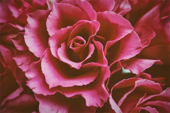 孩子祝福语英文