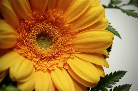 给远行的人祝福语30句 给远行的人祝福语30句