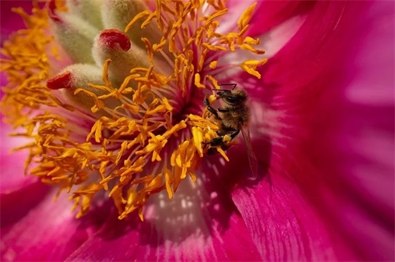 最新结婚祝福语大全 最新结婚祝福语大全