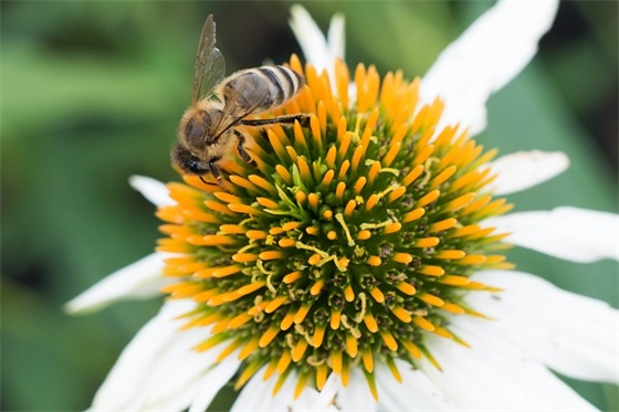 关于生活温柔且浪漫的句子 浪漫的句子短句唯美 关于生活温柔且浪漫的句子 浪漫的句子短句唯美
