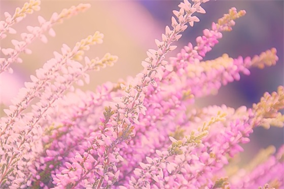 关于大学青春的句子精选86条（精选）