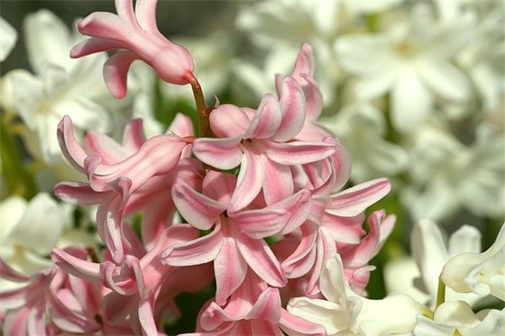 关于讽刺自己不配有爱的句子精选114条(全网精选) 关于讽刺自己不配有爱的句子精选114条(全网精选)