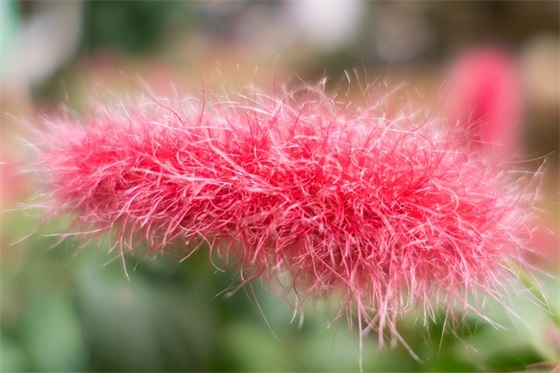 关于遇事无助的句子89句 关于遇事无助的句子89句