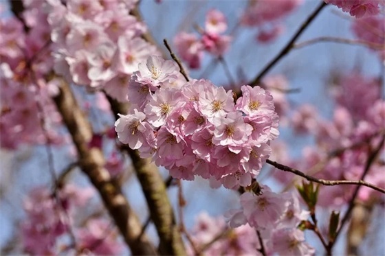 适合说晚安的唯美句子大全摘抄大全(精选推荐) 适合说晚安的唯美句子大全摘抄大全(精选推荐)