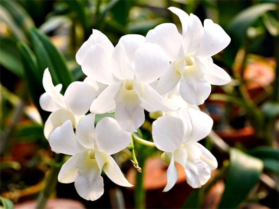 淡然随心文案短句 高冷洒脱随性淡然的句子 淡然随心文案短句 高冷洒脱随性淡然的句子