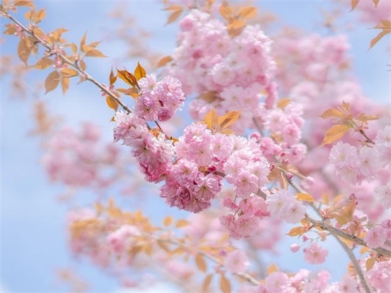 公益爱心传递正能量句 传递爱心正能量的句子 公益爱心传递正能量句 传递爱心正能量的句子