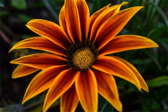 女生心态阳光的句子