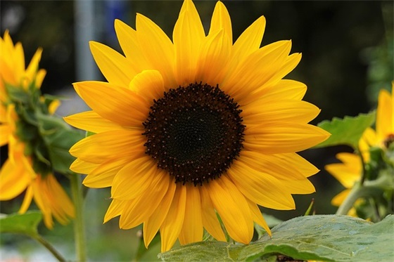 有关难过哭泣的句子 难过的句子