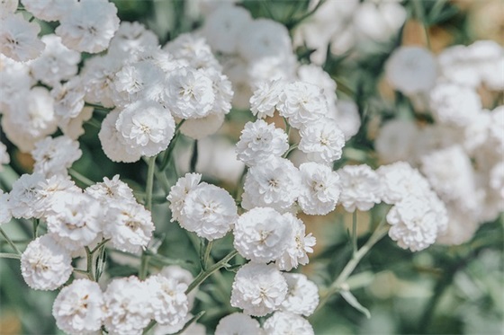 青春孤独奋斗的句子 青春孤独奋斗的句子