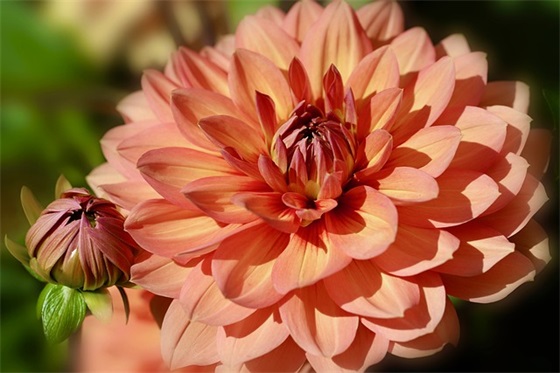 每天早晨禅语 每天早晨祝福语 每天早晨禅语 每天早晨祝福语