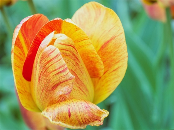 手术前祝福语大全35句 手术前祝福语大全35句