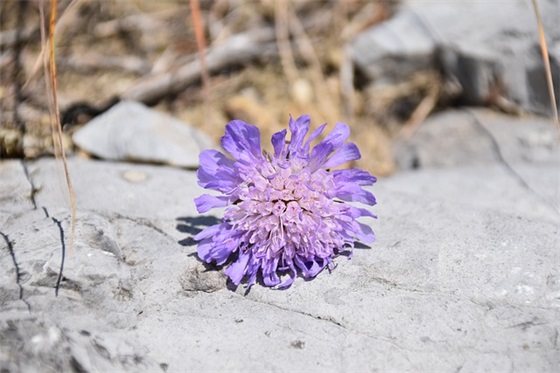 春分节气暖心祝福语文案 2018春节暖心文案