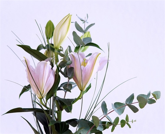 优美白露节气祝福语