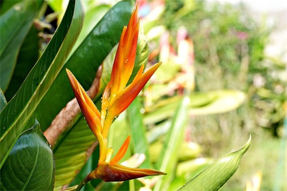 六一儿童节祝福语文案简短唯美 六一儿童节寄语简短 六一儿童节祝福语文案简短唯美 六一儿童节寄语简短