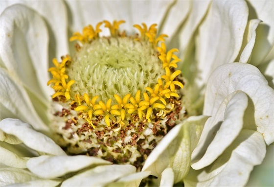 端午节给客户祝福语 端午节给客户祝福语