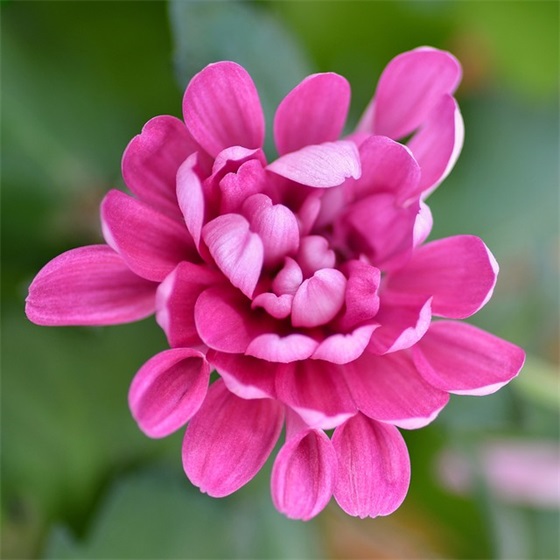 升学祝福语怎么写 升学红包祝福语怎么写