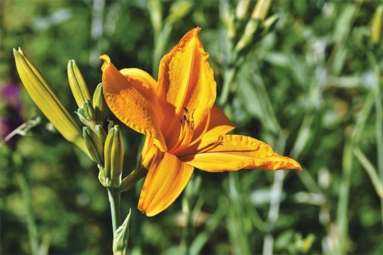 2026短信的立冬祝福语 2026短信的立冬祝福语