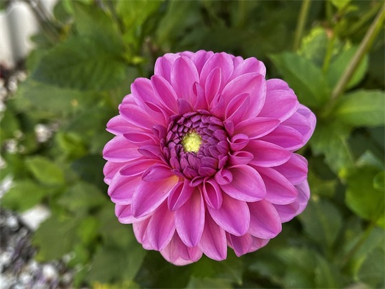 儿子四岁生日祝福语52句