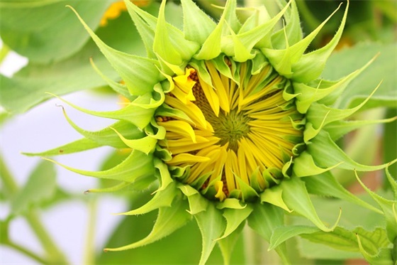 精选的周末祝福信息大全 周末祝福信息大全 精选的周末祝福信息大全 周末祝福信息大全