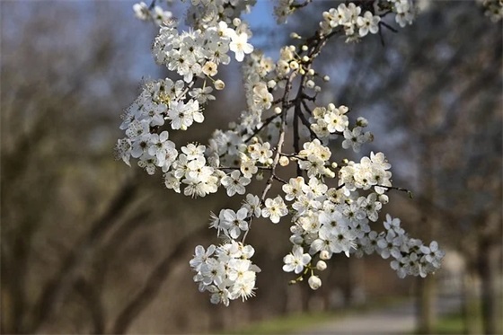 抖音生日祝福语 抖音对自己生日祝福语 抖音生日祝福语 抖音对自己生日祝福语