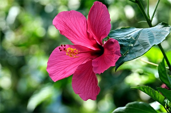 惊蛰 节气简短经典祝福 简单的惊蛰时节祝福语 惊蛰 节气简短经典祝福 简单的惊蛰时节祝福语