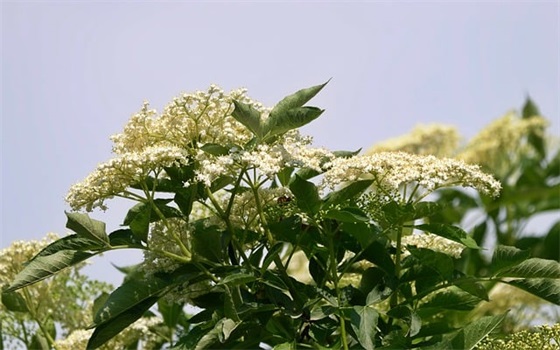 个性签名光棍节祝福语录2026精选(11月11日光棍节祝福语说说) 个性签名光棍节祝福语录2026精选(11月11日光棍节祝福语说说)