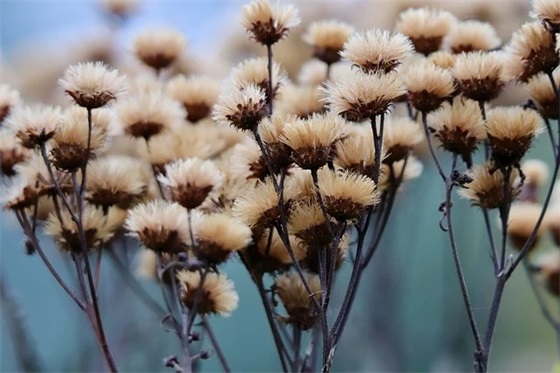 军人结婚祝福语大全54句 军人结婚祝福语大全54句