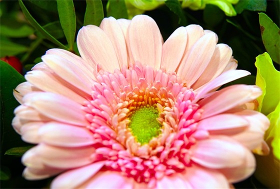 婚礼主持的祝福语54句