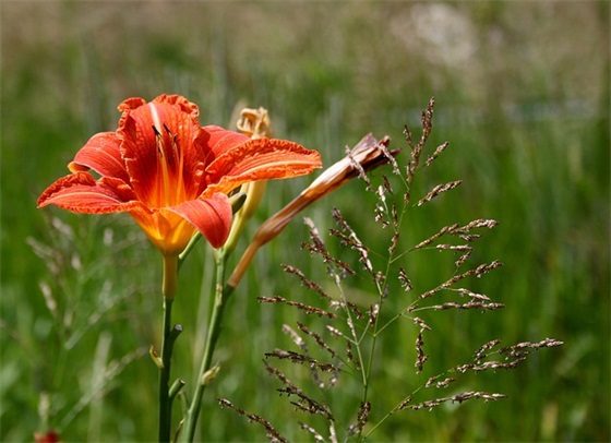 十一国庆节祝福语文案 十一国庆节祝福语