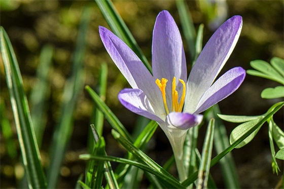 同事儿子结婚祝福语56句