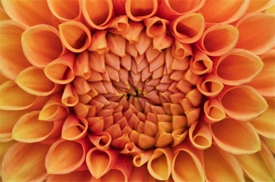 发小结婚祝福语