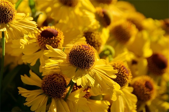 周二工作顺利微信祝福语 工作顺利祝福语简短