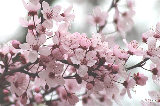 孩子祝福语四字64句