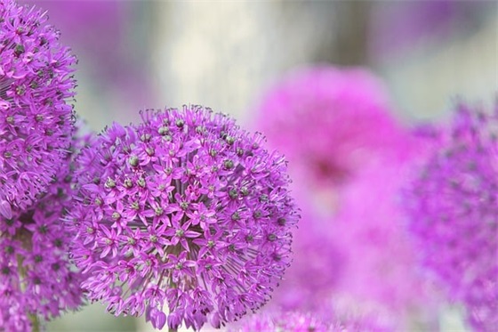 文艺简短的结婚祝福语57句