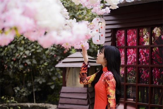 晚上好温馨祝福语 晚上好短语的话精选