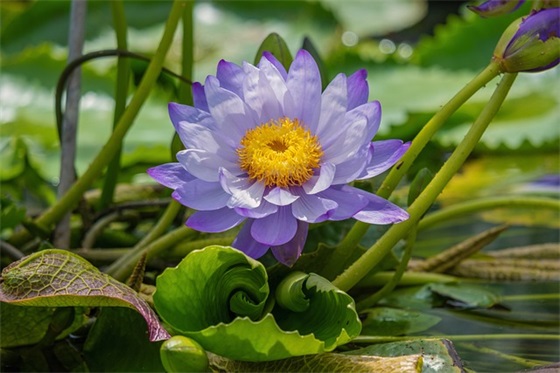 led酒店新年祝福语53句