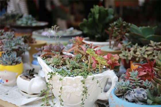 2026升大学祝福语 孩子考上大学祝福语