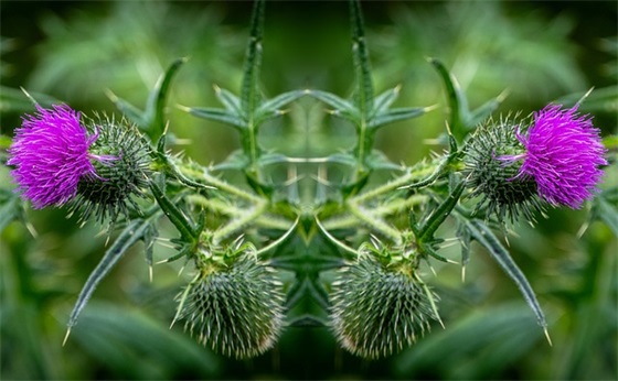 生日简单祝福语