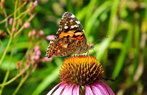 晚上好最美祝福语 睡觉前怎么发朋友圈说说