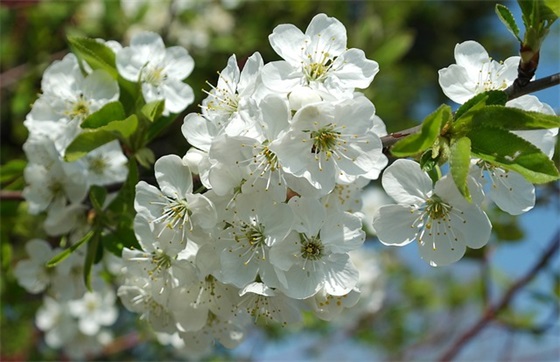 高中积累好句好段 高中积累好句好段