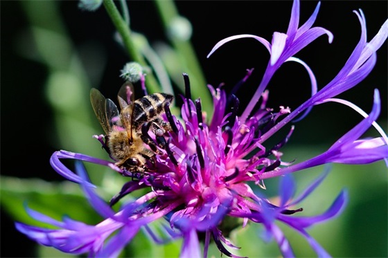 2026年简短的励志的好句摘录 2026年简短的励志的好句摘录